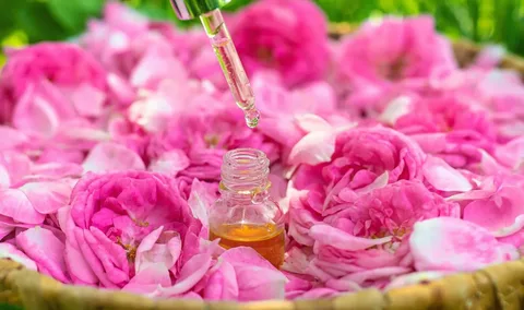 تصویر 3 از گلاب ربیع با غلظت متعادل و رایحه دلپذیر